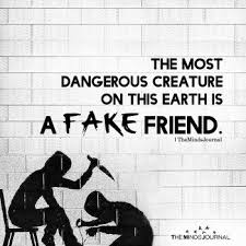 Fake friends