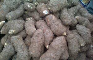 What man found inside yam he was given to deliver abroad