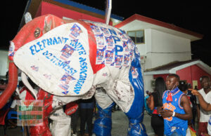 NPP’s victory and declining populism in its stronghold – Where did the elephant fraternity go wrong?