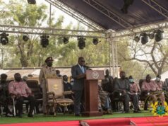 FREE SHS A SUCCESS – NANA AKUFFO-ADDO