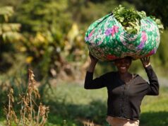 AKUFFO ADDO ALLOCATES 1.10 BILLION TO AGRIC MINISTRY TO CREATE MORE JOBS