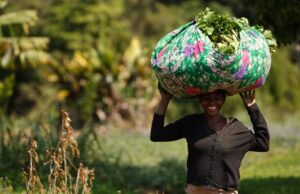 AKUFFO ADDO ALLOCATES 1.10 BILLION TO AGRIC MINISTRY TO CREATE MORE JOBS